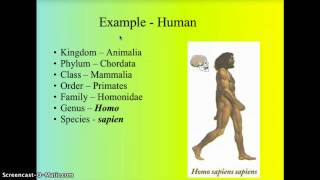 Taxonomy  Classification [upl. by Hairem]