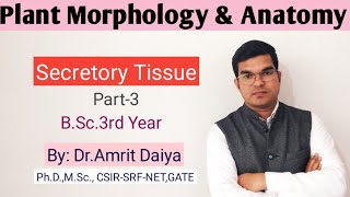 Internal secretory tissue Laticifer  Hindi amp English  BSc 3rd year By DrAmrit Daiya [upl. by Aitnas]