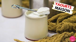 Recette de yaourts maison à la vanille  bien fermes et délicieux [upl. by Atikahs]