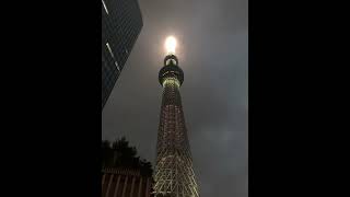 Tokyo skytree  oshiyage  Sumida city  Japan  Indian in Japan [upl. by Alemat]