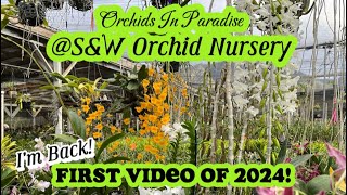 I’m Back First Video of the year at SampW Orchid Nursery [upl. by Lustick]