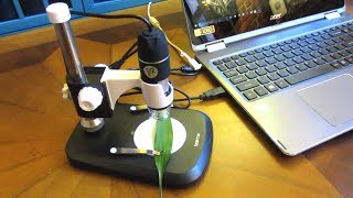 Koolertron USB Digital Microscope  How to Use Microscope [upl. by Ayotak]