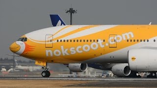 ✈✈ノックスクート NokScoot Boeing 777212ER Takeoff Narita RWY34L成田空港 ひこうきの丘 [upl. by Augusto]