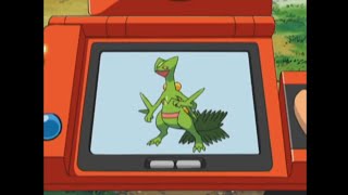 Sceptile Pokédex Entrieswmv [upl. by Odracer]