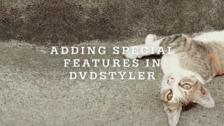 How To Add Special Features In DVDStyler [upl. by Guinna]