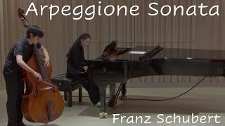 Schubert Arpeggione Sonata [upl. by Noskcaj]