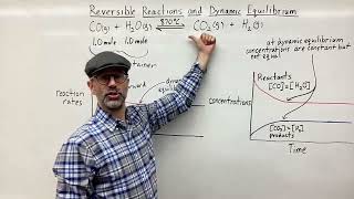 Reversible Reactions and Dynamic Equilibrium [upl. by Leora]