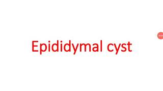 Epididymal cyst VB ayurveda [upl. by Ytissahc]