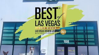 The pets for adoption this week at Las Vegas SPCA [upl. by O'Conner]