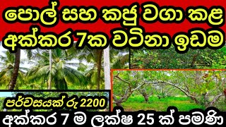 පර්චසයක් රු 2200 කට  අක්කරයක් රු ලක්ෂ 35  Pol idam  Coconut land  Aduwata idam  Land for sale [upl. by Carolynne]