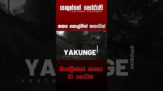 මැගලින්ගේ ශාපය 01  sinhala holman katha  සත්‍ය හොල්මන් කතාවක්  ghost story [upl. by Netsrejk]