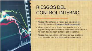 CONTROL INTERNO [upl. by Lasorella627]