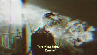 Tera Mera Rishta slowedreverb  Mustafa Zahid Zamina [upl. by Amsirac]