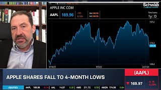 Should Apple AAPL Cut Prices [upl. by Radloff265]