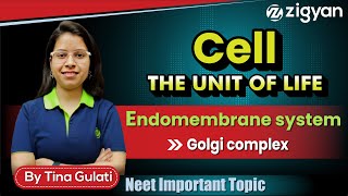 Golgi body  Golgi complex  Golgi apparatus  Endomembrane system  NEET  Dictyosome [upl. by Nnazus]