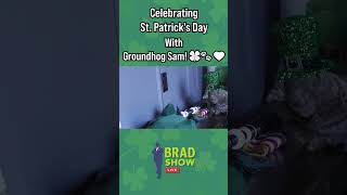 Celebrating St Patricks Day With Groundhog Sam [upl. by Brianna]