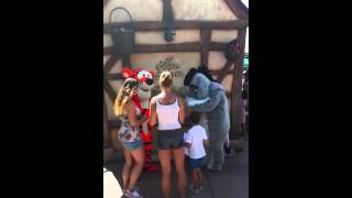 Disneyland Paris Meet and Greet EeyoreampTigger [upl. by Nanny]