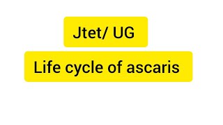 life cycle of ascaris lifecycleofascaris jtet zoology biology [upl. by Aytida246]