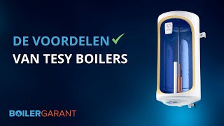 De voordelen van Tesy boilers  BoilerGarant [upl. by Lonne55]