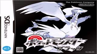 Pokémon Black and White  Kyurem Battle Music EXTENDED [upl. by Etyam]