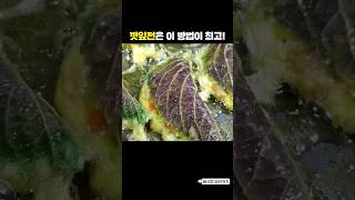 이렇게 부쳤더니 30장이 순식간에 사라져요 [upl. by Ardnoid]