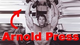 Arnold Press  Schultern trainieren wie Arnold Schwarzenegger [upl. by Leahplar]