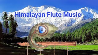 Himalayan Flute Music  Relaxing Flute Music  Solo Flute Music  बांसुरी  Meditation Music [upl. by Yrovi714]