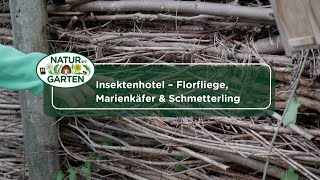 Insektenhotel – Florfliege Marienkäfer amp Schmetterling [upl. by Ias]