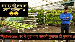 Hydroponic घर में शुरू कर कमाये मुनाफा ही मुनाफा  Soil Less Farming  Kitchen Garden  Hello Kisaan [upl. by Nileak]