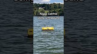 Can Ultrasound Control Algal Blooms in Lakeslakes lakelife bluegreenalgae killalgae habs fish [upl. by Kester]