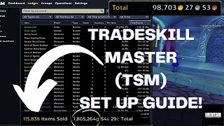 TradeSkillMaster TSM Set up GUIDE WOTLK and RETAIL [upl. by Rutter985]