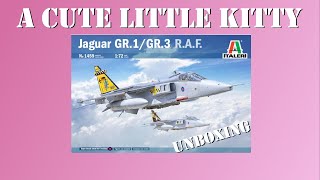 The legendary SEPECAT Jaguar in 172 scale by Italeri  Unboxing [upl. by Teryn]