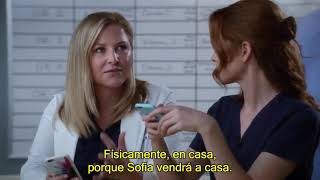 Arizona y Carina  SU HISTORIA PARTE 5  Greys Anatomy subtitulos español [upl. by Erdnua]