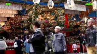 大鳥神社～酉の市（一の酉）～八王子市 2013 [upl. by Nylasoj]