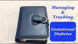 Managing amp Tracking Gestational Diabetes In My Planner [upl. by Hardej958]