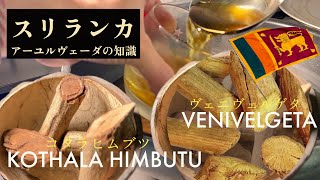 Sri Lanka Ayurveda：Kothala himbutuコタラヒムブツとVenivelgetaヴェニヴェルゲタ drink  スリランカの伝統医学アーユルヴェーダの知識 [upl. by Verneuil]