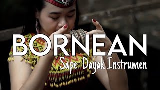 Bornean  Helmy Trianggara Official Music Video Sape Dayak Kalimantan [upl. by Manson]