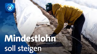 Mindestlohnkommission Mindestlohn soll auf 1241 Euro steigen [upl. by Jennee]