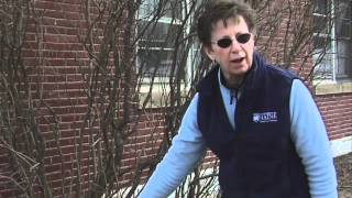 How to Prune a Lilac Bush [upl. by Ecnar]