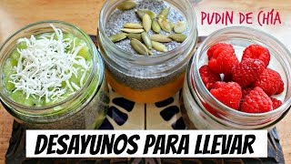 Desayunos para llevar PUDIN DE CHÍA 3 RECETAS [upl. by Alyad]