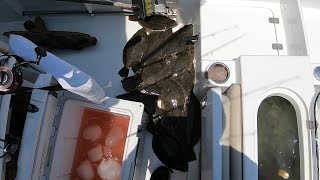 July 17th 2022 Wachapreague Virginia Flounder Fishing [upl. by Georas]