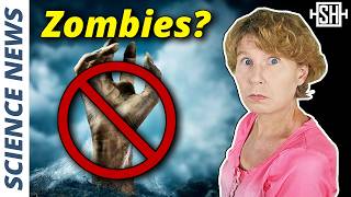 New Theory of Consciousness Explains Why Zombies Don’t Exist [upl. by Hcone]