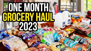 ONE MONTH GROCERY SHOPPING  FAMILY OF SIX  EXTREME BUDGET GROCERIES [upl. by Doykos]