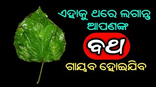 ଏହାକୁ ଥରେ ଲଗାନ୍ତୁ ଆପଣଙ୍କ ବଥ ଗାୟବ ହୋଇଯିବ  Furuncle Home Remedy in Odia  Boil in Skin [upl. by Nnyleak]