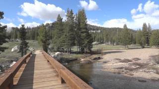 Tuolumne Meadows amp Tenaya Lake in Yosemite National Park [upl. by Nivlen]