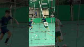 Os melhores livros de futsal do Brasil futsal futsalbrasil futsalbr futbol [upl. by Symon732]