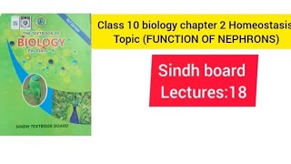 Class 10 biology chapter 2 Homeostasis topic FUNCTION OF NEPHRONS easily explain [upl. by Volney469]