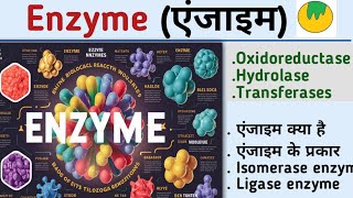 EnzymeएंजाइमEnzyme biochemistryenzyme in hindiOxidoreductaseHydrolasetransferaseKiran maurya [upl. by Jacklin]