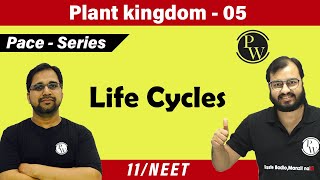 Life Cycles and Land Plants [upl. by Rhona799]