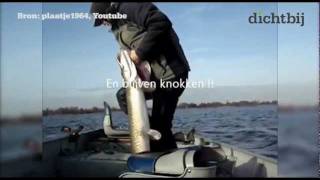 Visser vangt monstersnoek op Loosdrechtse plassen [upl. by Kleinstein704]